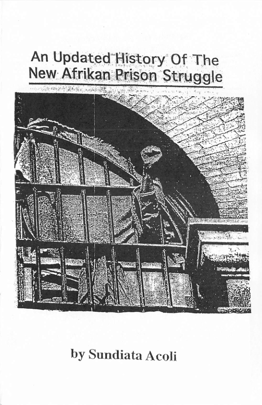 An Updated" Hlstory Of The New: Afnkan son Struggle  by Sundiata Acoli 